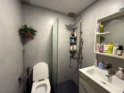 The Sunny Spring (D14), Apartment #603136241